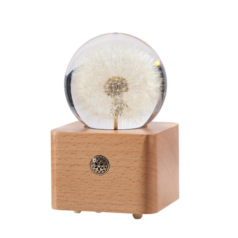Dandelion Preserved Flower Crystal Ball Wooden Music Box - Gift From Here