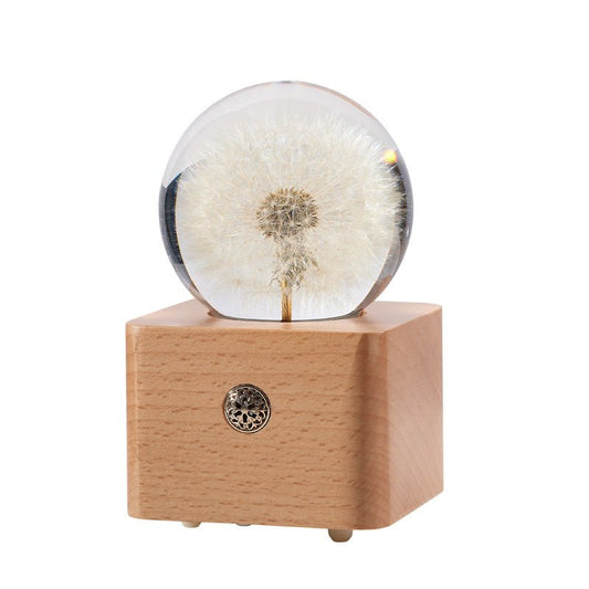 Dandelion Preserved Flower Crystal Ball Wooden Music Box - Gift From Here
