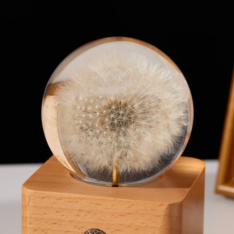 Dandelion Preserved Flower Crystal Ball Wooden Music Box - Gift From Here