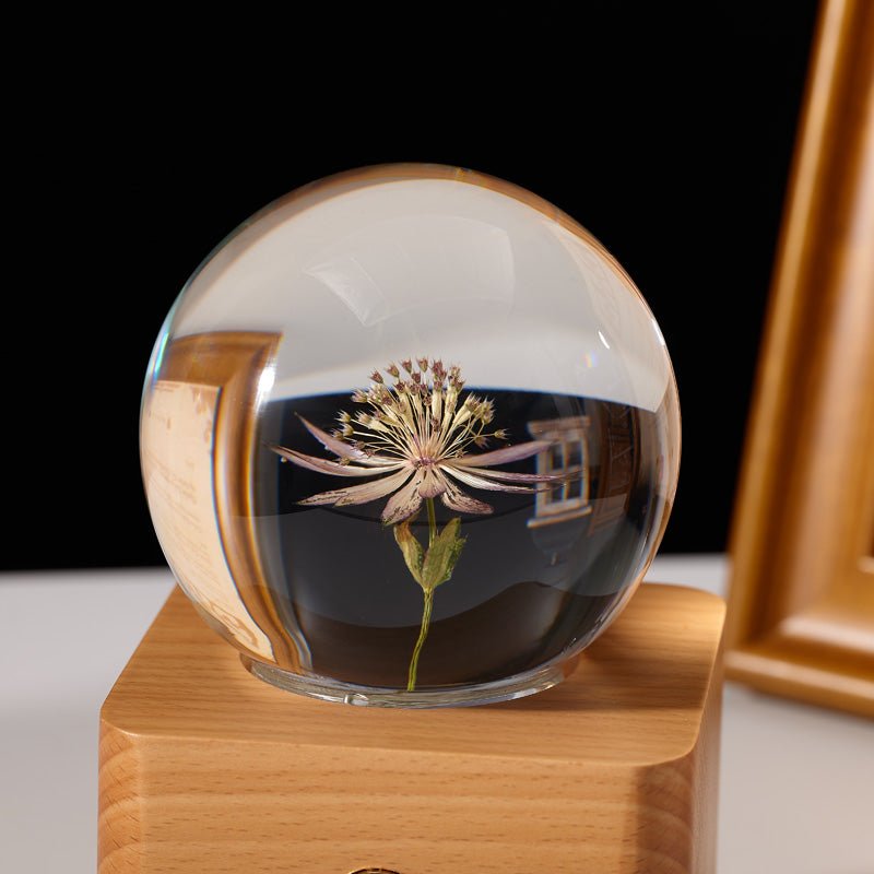 Astrantia Preserved Flower Crystal Ball Wooden Music Box - Gift From Here